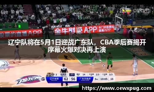 yy易游体育