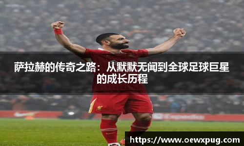 yy易游体育