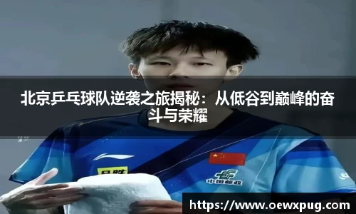 yy易游体育平台