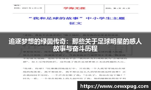 yy易游体育官网